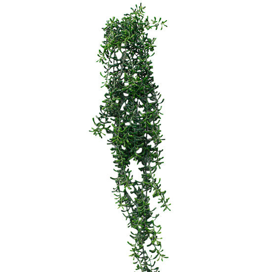 Faux Cresent Hanging Succulent