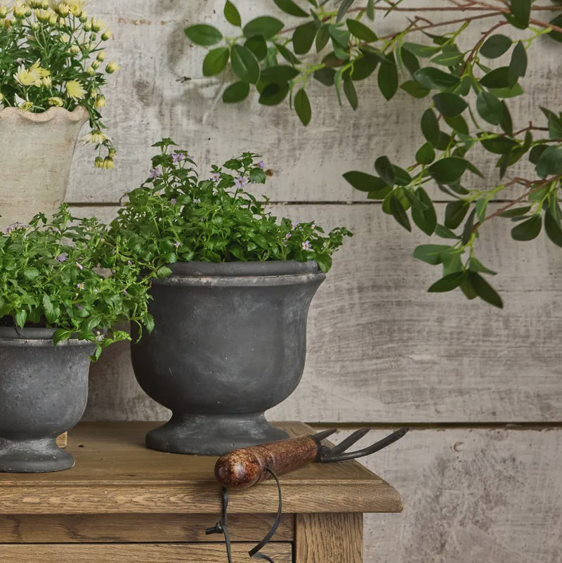 Decorative setting with potted plants on a wooden surface against a rustic wooden wall.