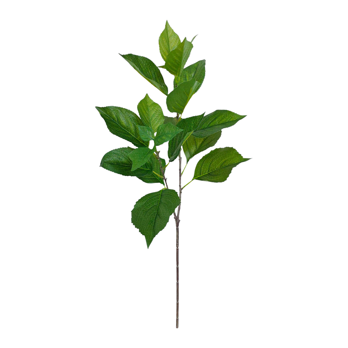 An artificial green leafy branch with multiple glossy green leaves on a thin brown stem, isolated on a solid white background.