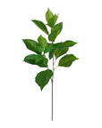 An artificial green leafy branch with multiple glossy green leaves on a thin brown stem, isolated on a solid white background.