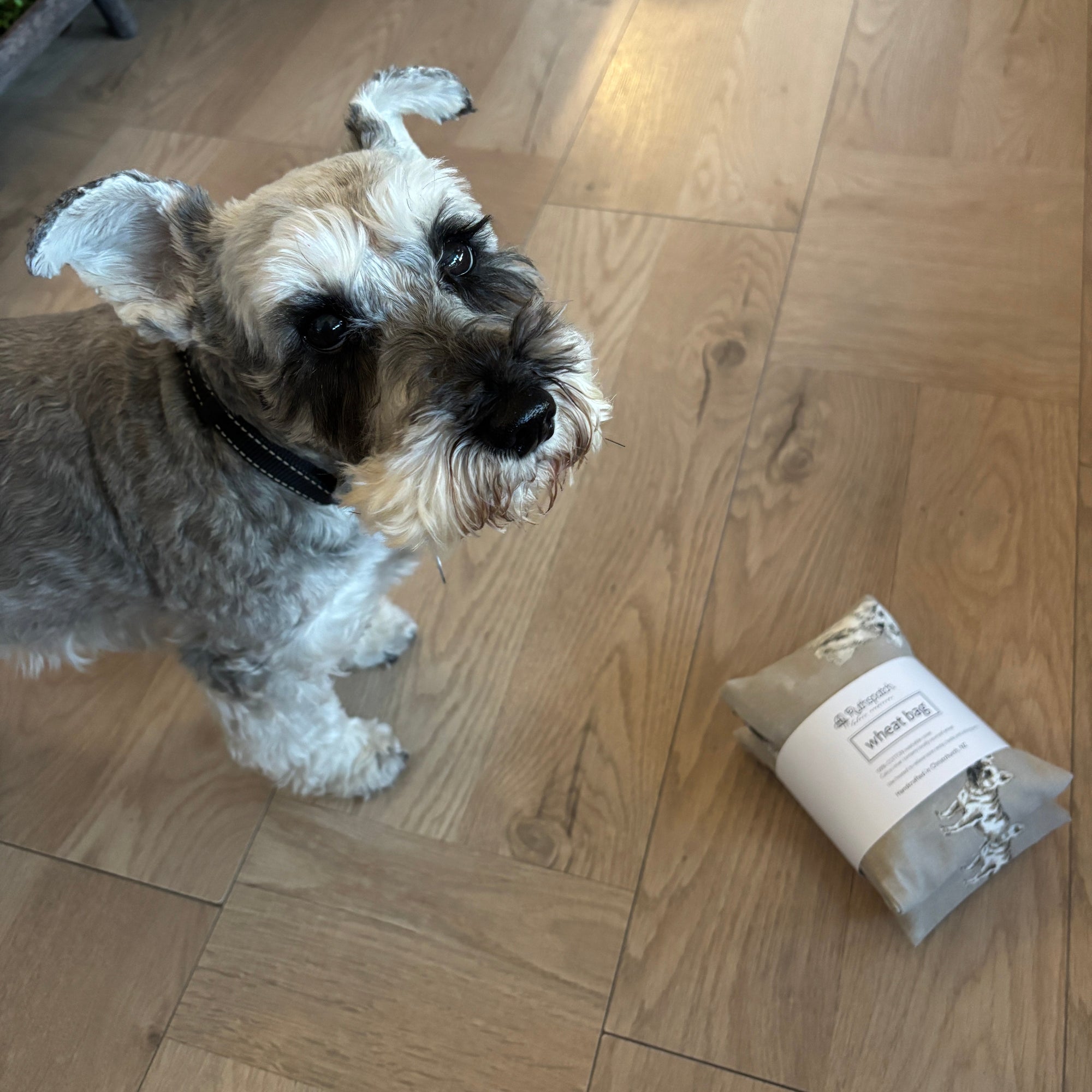 Ruthspatch Cotton Wheat Bag - Dogs