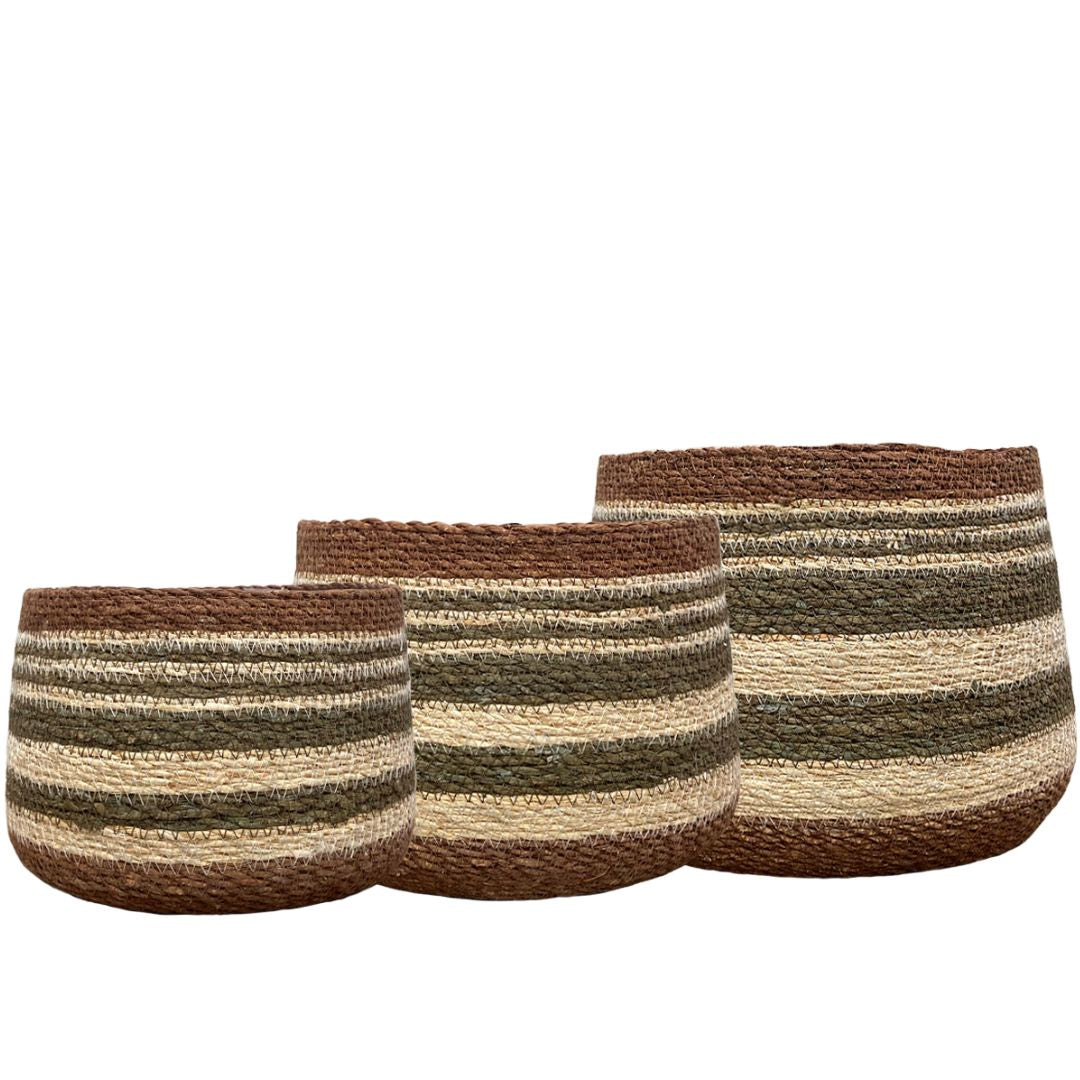 Eloise Bulb Basket - Olive