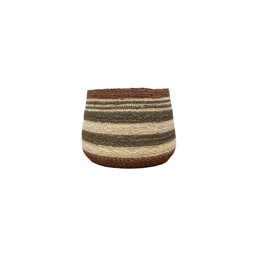 Eloise Bulb Basket - Olive