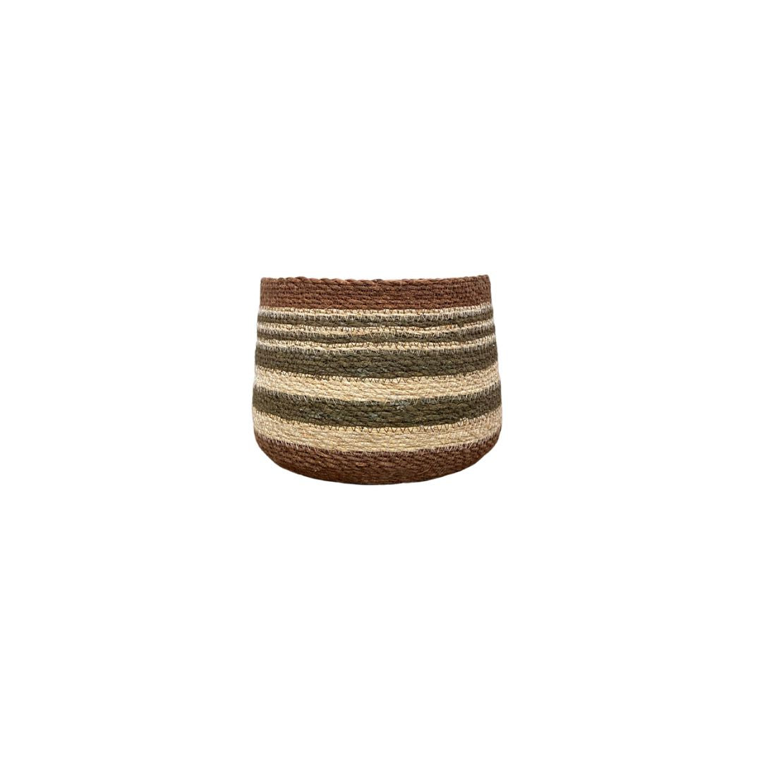 Eloise Bulb Basket - Olive