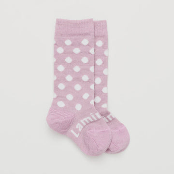 Lamington Baby Socks - Knee High|Jemima 