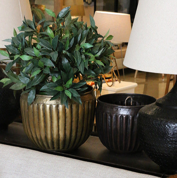 Decorative setup with potted plants and lamps on a surface.