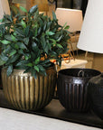 Decorative setup with potted plants and lamps on a surface.