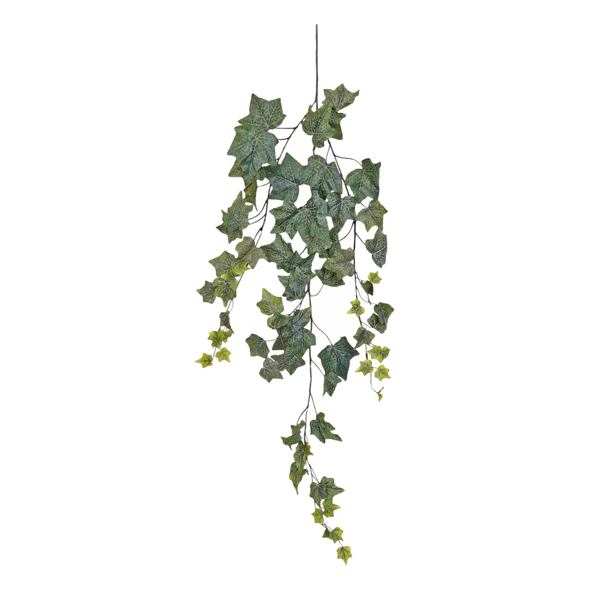 Faux Large Leaf Ivy Vine - Frosted Green