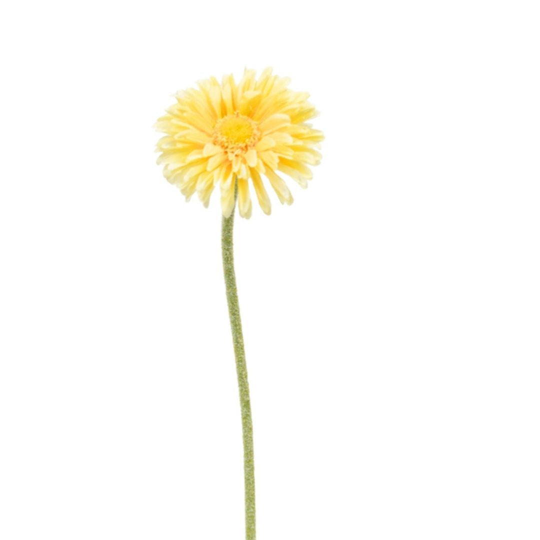 Faux Plant - Single Gerbera | Yellow