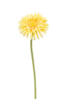 Faux Plant - Single Gerbera | Yellow