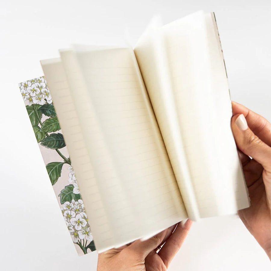 Pocket Notebook (Lined) - Hydrangea
