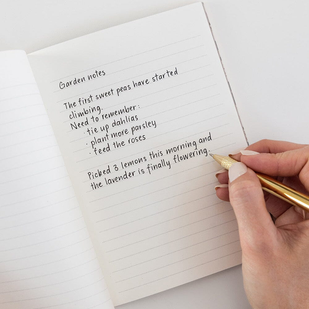 Pocket Notebook (Lined) - Belvedere