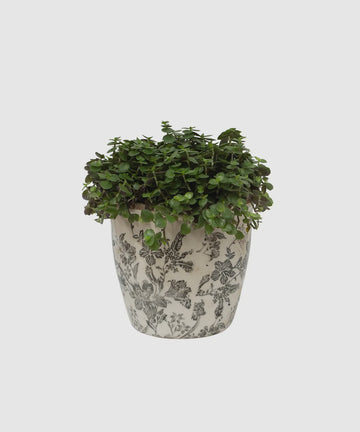 Black and White Hand Painted Pot