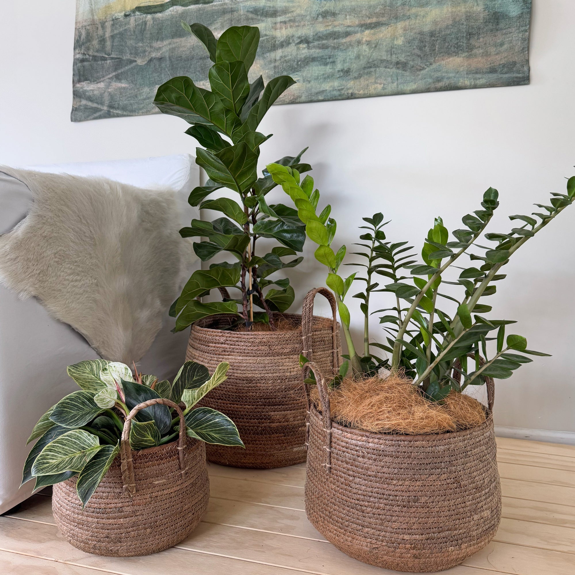 NY25140 woven baskets