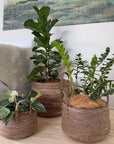 NY25140 woven baskets