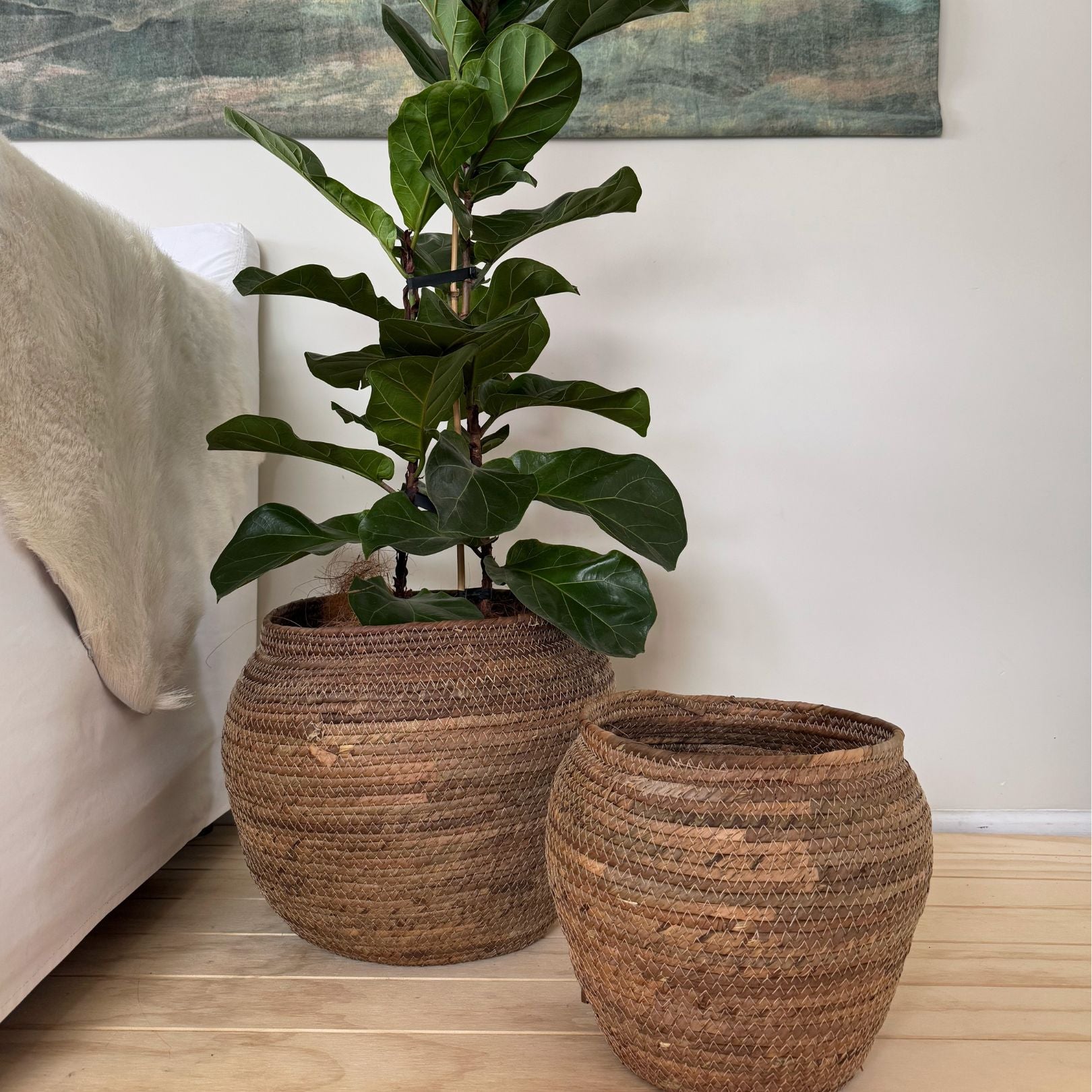 Two woven planters with a potted plant on a wooden floor next to a bed.
