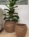 Two woven planters with a potted plant on a wooden floor next to a bed.