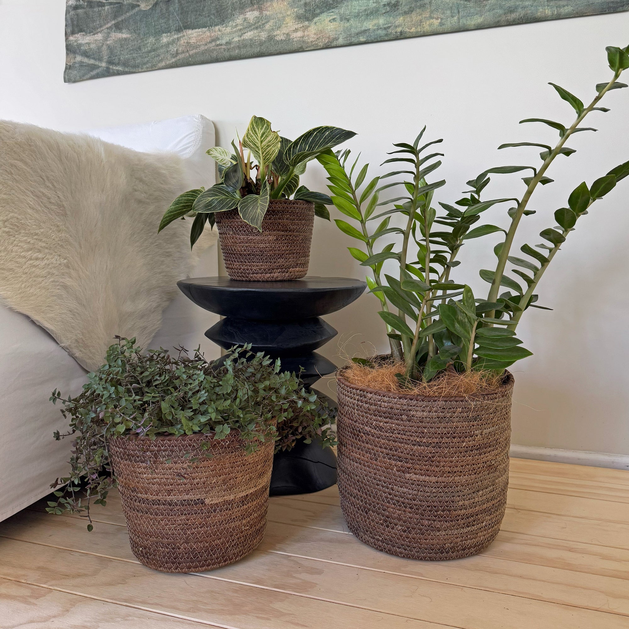 Potted plants on a wooden floor with a tapestry in the background