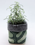 Grow Bags - Mixed Fern