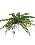 Artificial fern plant on a white background