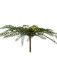 Faux Plant - Northern Maidenhair Fern