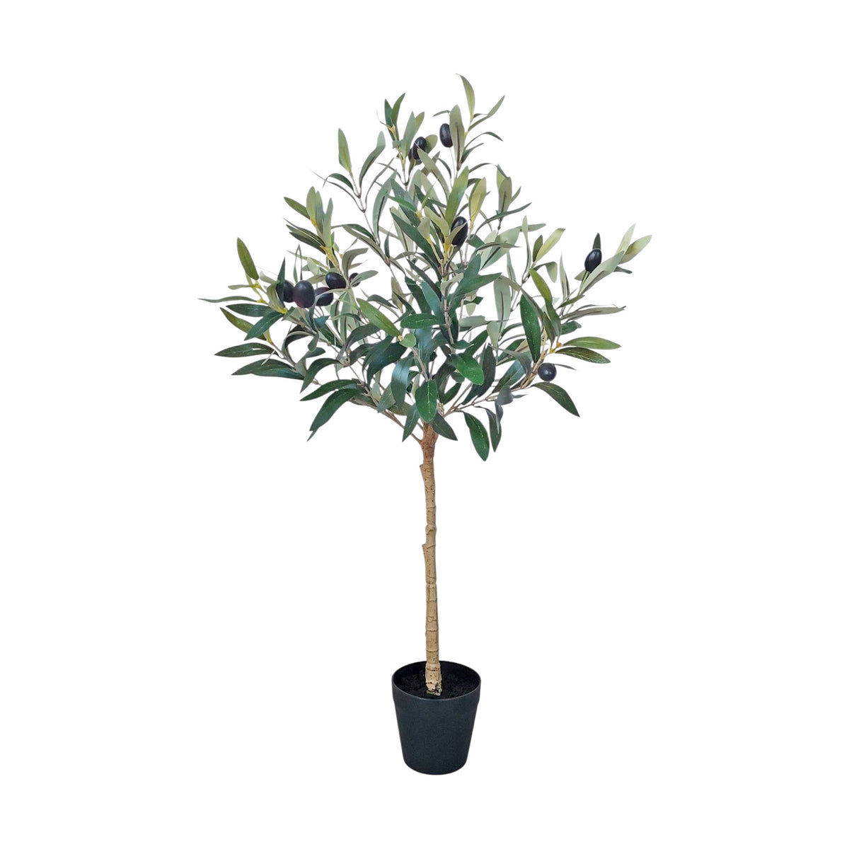 Faux Plant - Olive Tree | 70cm