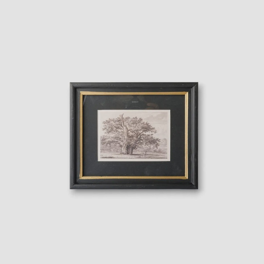 Framed black and white print of a tree on a white background