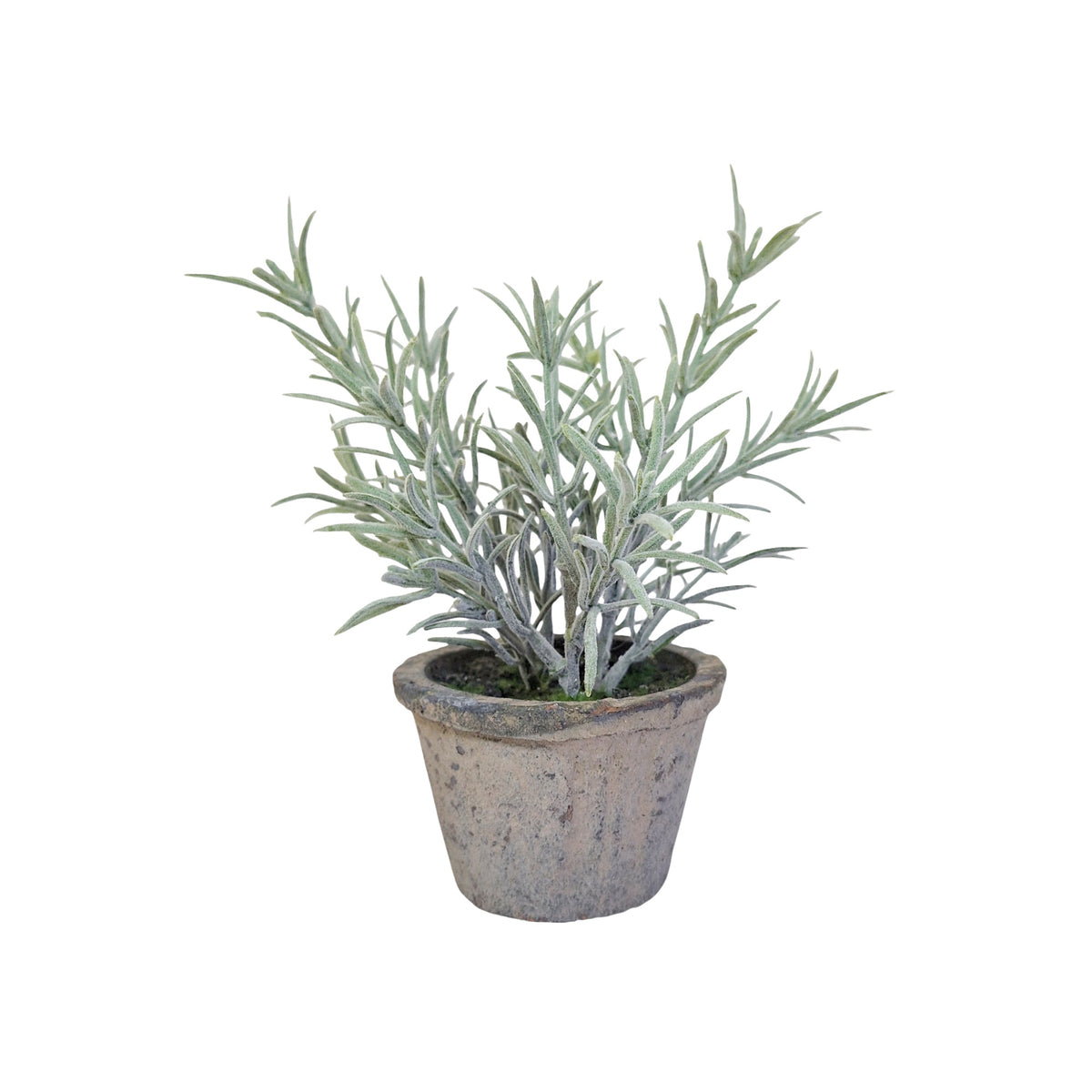Faux Potted Herb - Grey