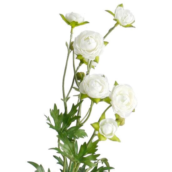 Petit Ranunculous Spray White 56cm