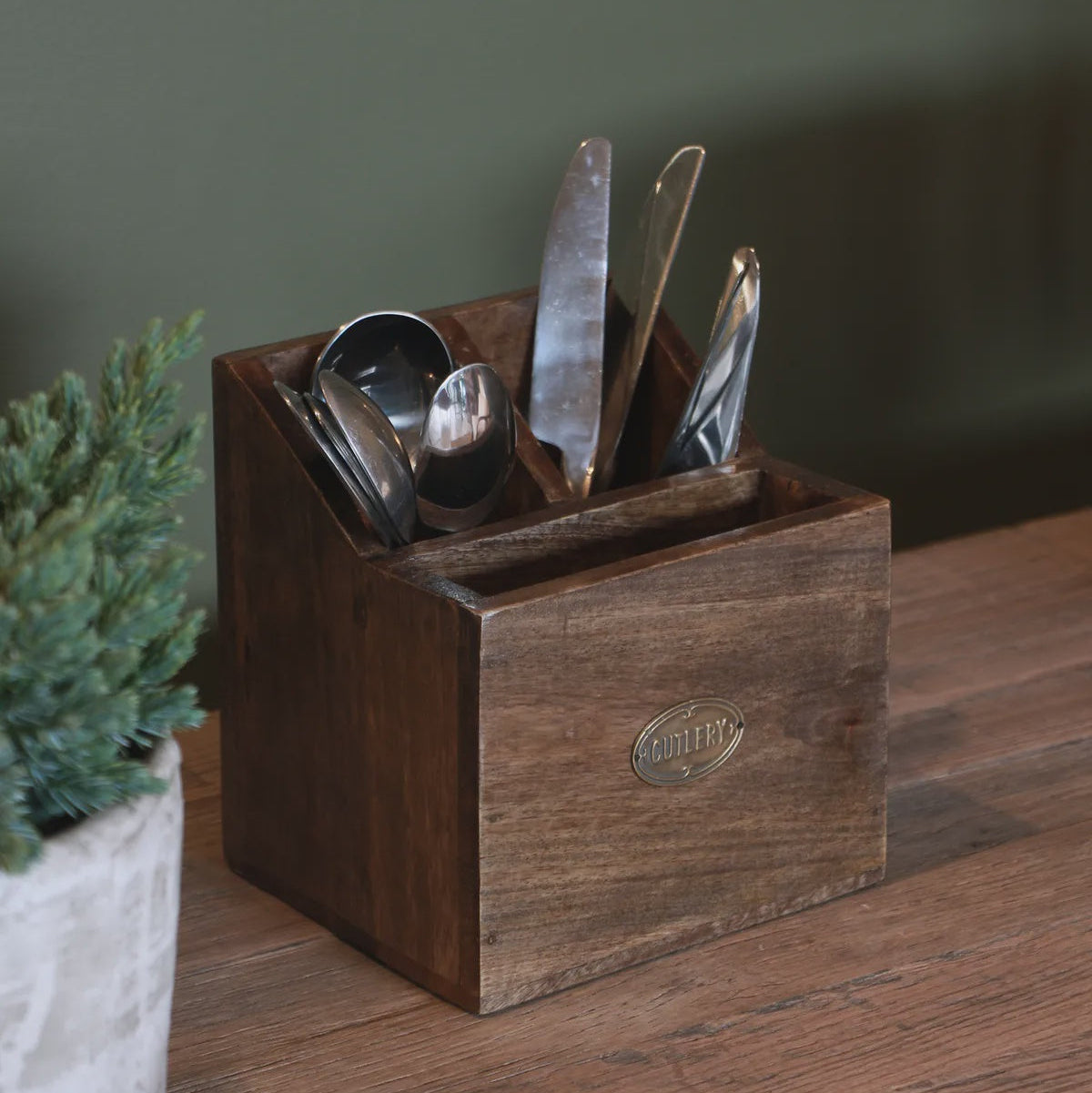 Wooden utensil holder with cutlery on a wooden surface with a green plant in the background
