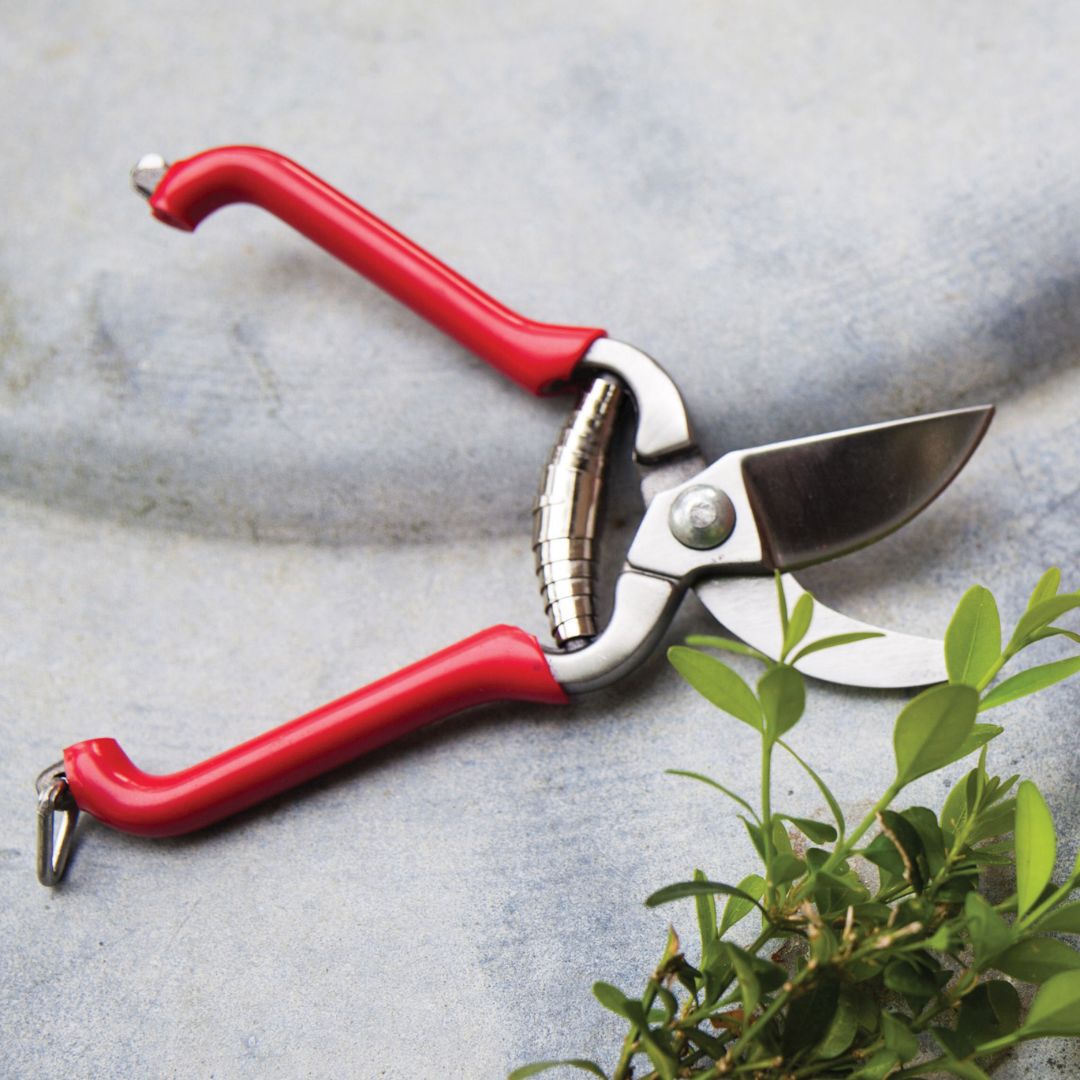 Pruners - Small with Red Handles