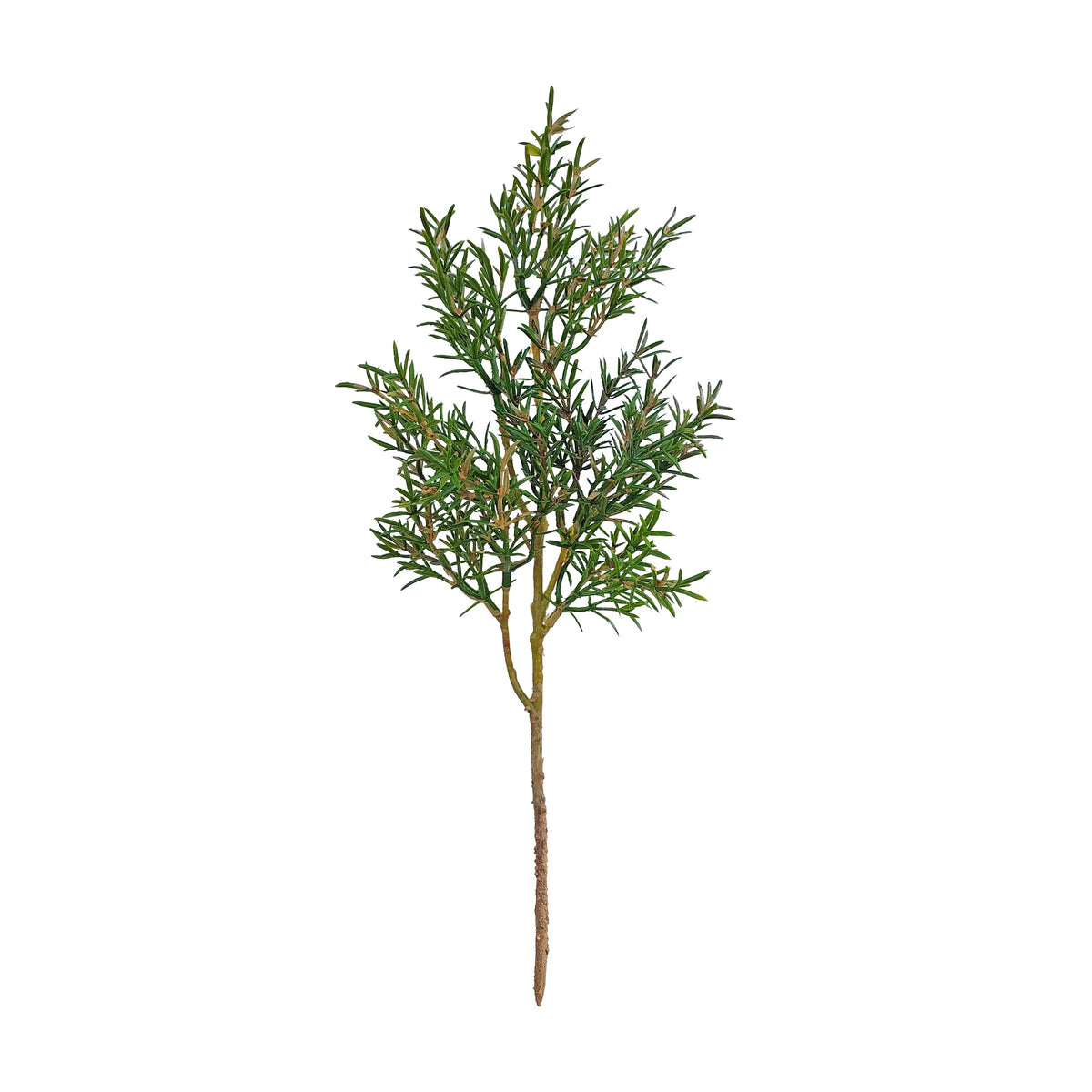 Faux Botanicals 5
