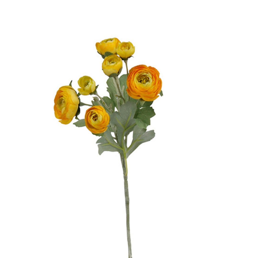 Bouquet of yellow flowers with green leaves on a white background