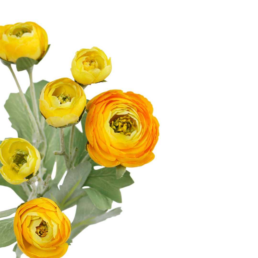 Bouquet of yellow flowers with green leaves on a white background
