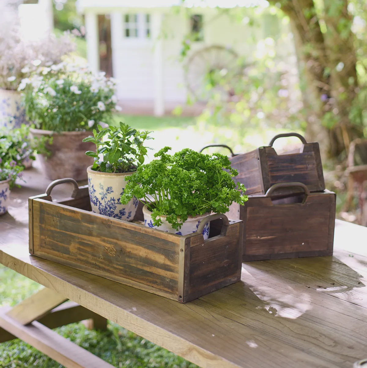 Wooden crates with plants on a wooden table outdoors