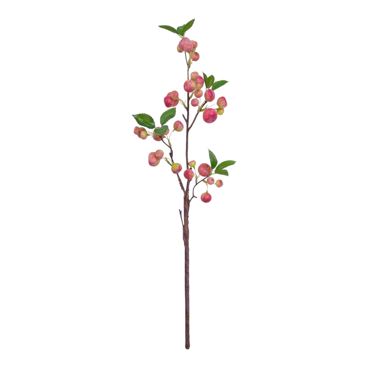 Faux Botanicals 2