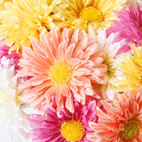 Close-up of colorful flowers including yellow, pink, and white daisies.