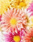 Close-up of colorful flowers including yellow, pink, and white daisies.