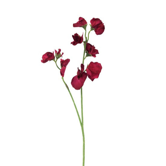 Sweet Pea Beauty