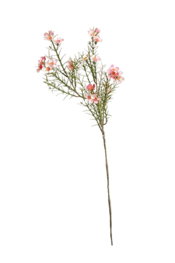 Faux Plant - Wax Flower Pink