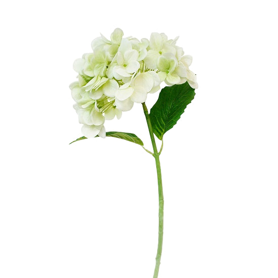 Faux Flowers - Real Touch Hydrangea | Green