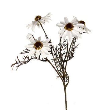 Faux Echinacea Spray
