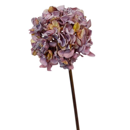 dried hydranger lilac