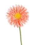 Faux Flowers - Single Mini Gerberas