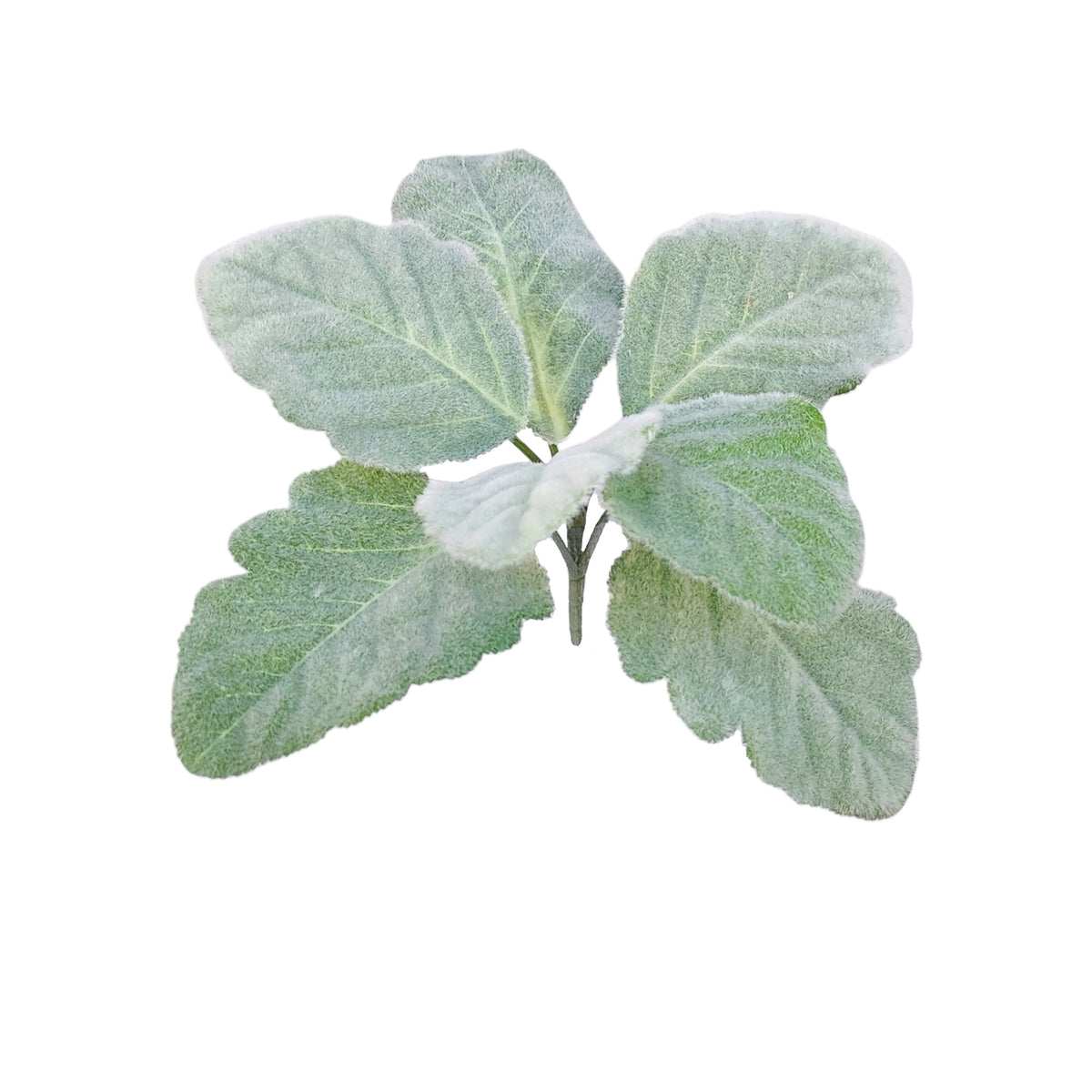 Faux Botanicals 3