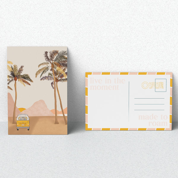 Smelly Balls - Sun Seeker Set | Coconut Lime