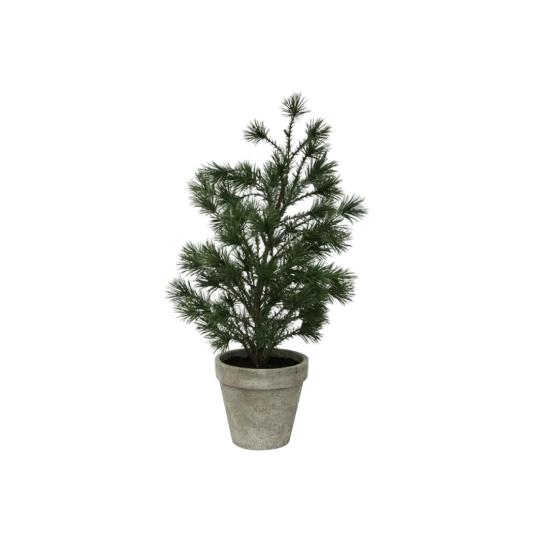 Table Pine Tree