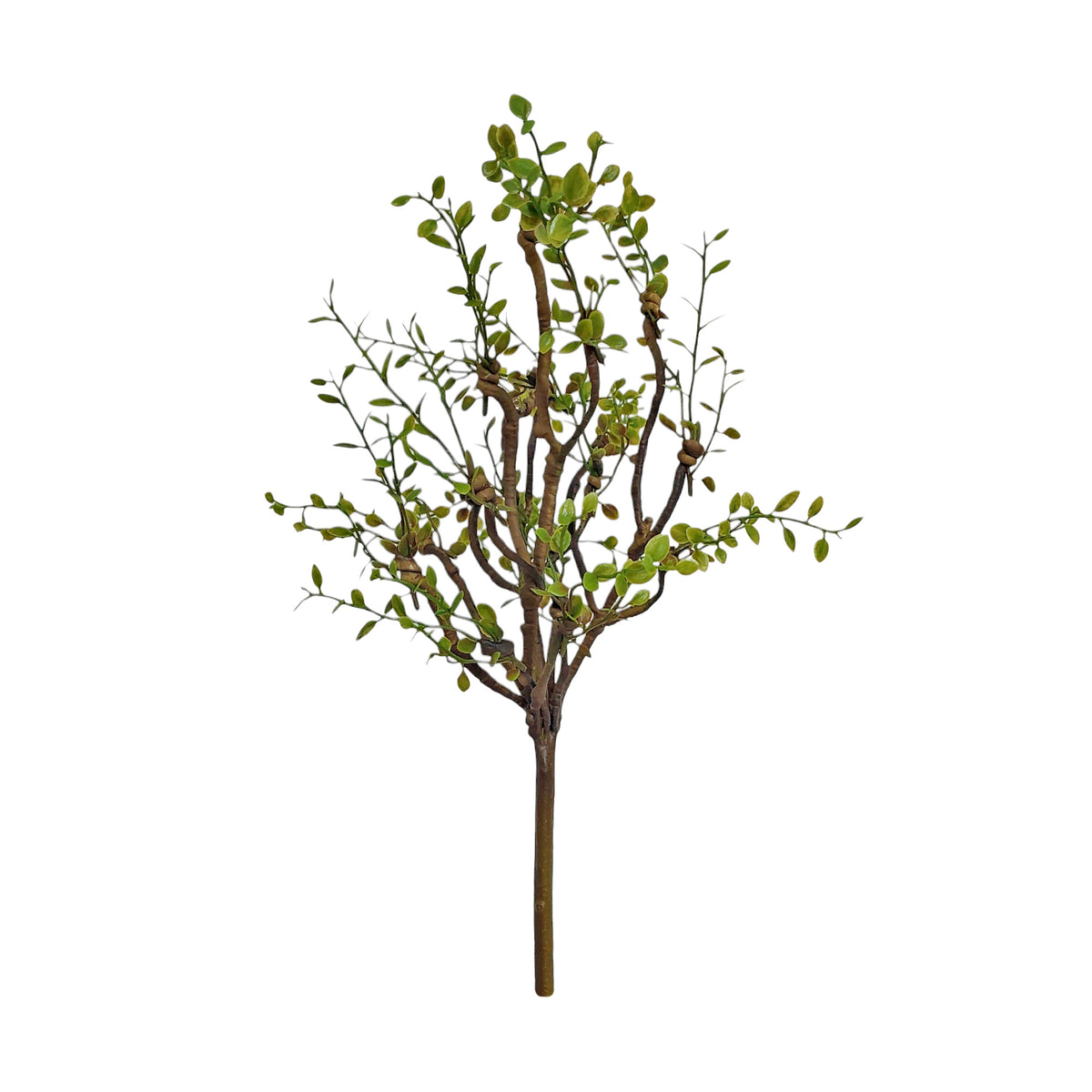 Faux Botanicals 2