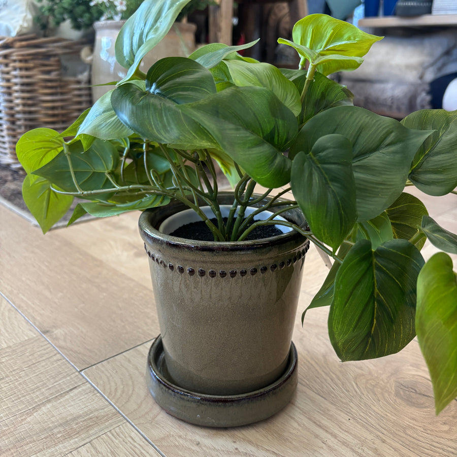 Terracotta Flower Pot + Saucer - Taupe