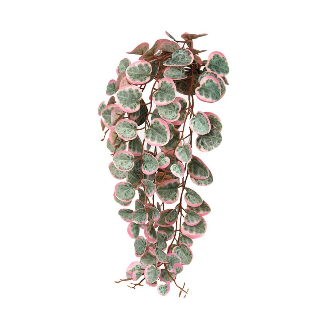 Variegated String of Hearts Pink/Green 46cm